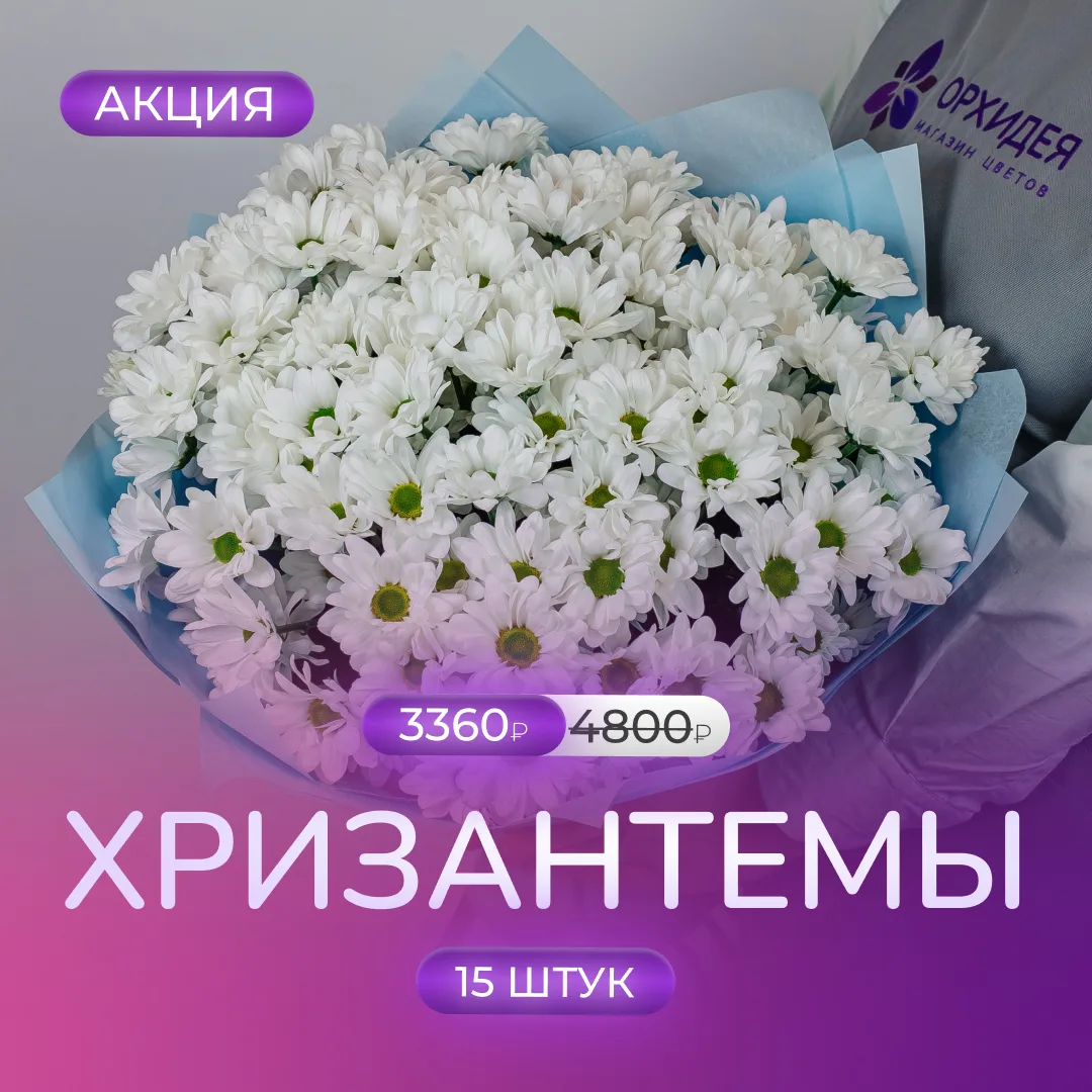 🍀 СПЕЦПРЕДЛОЖЕНИЕ: