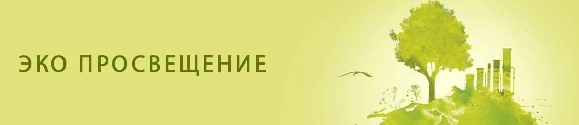🌿 РУБРИКА «ЭКОЛОГИЯ В РФ / ЭКО-ПРОСВЕЩЕНИЕ»
 
ЧАСТЬ 2. ЭКО-МОДА ИЛИ ОБМАН: КАК РАСПОЗНАТЬ ГРИНВОШИН