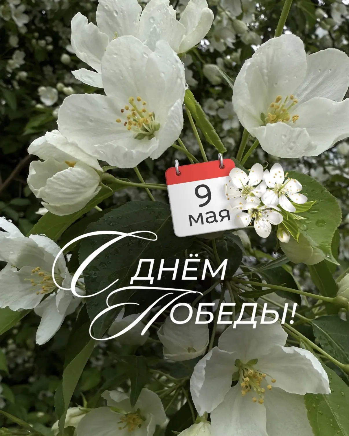 С Днём Победы!