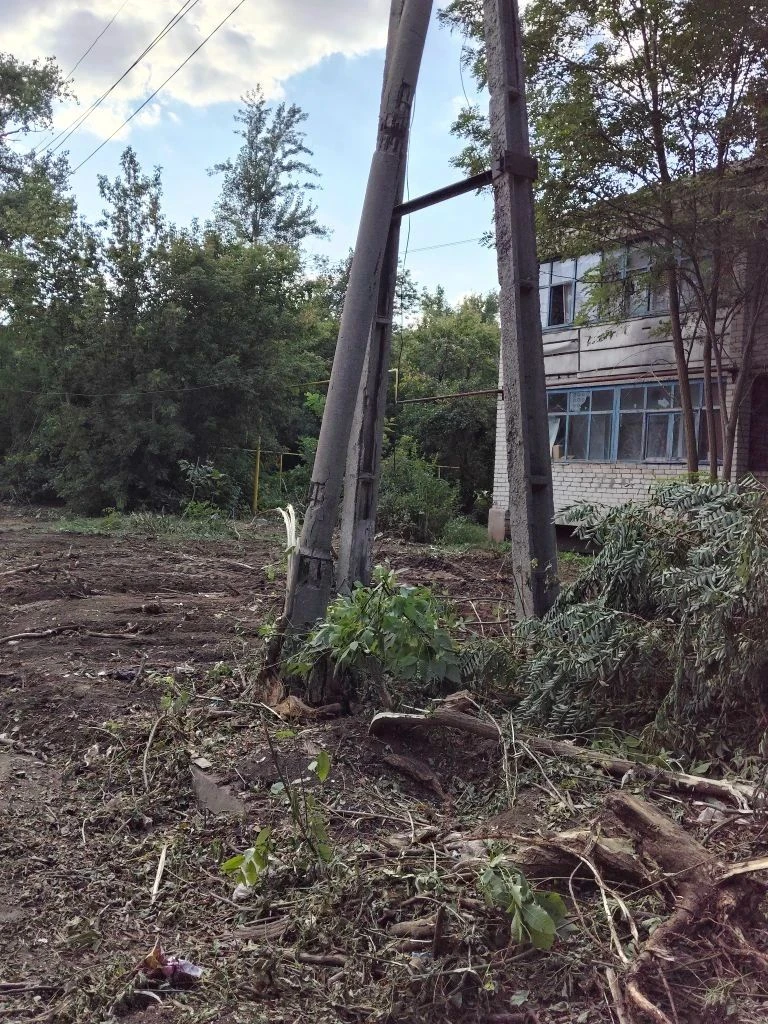 Работы по удалению поросли вдоль проезжей части дороги по улице Д.Выставкина продолжаются