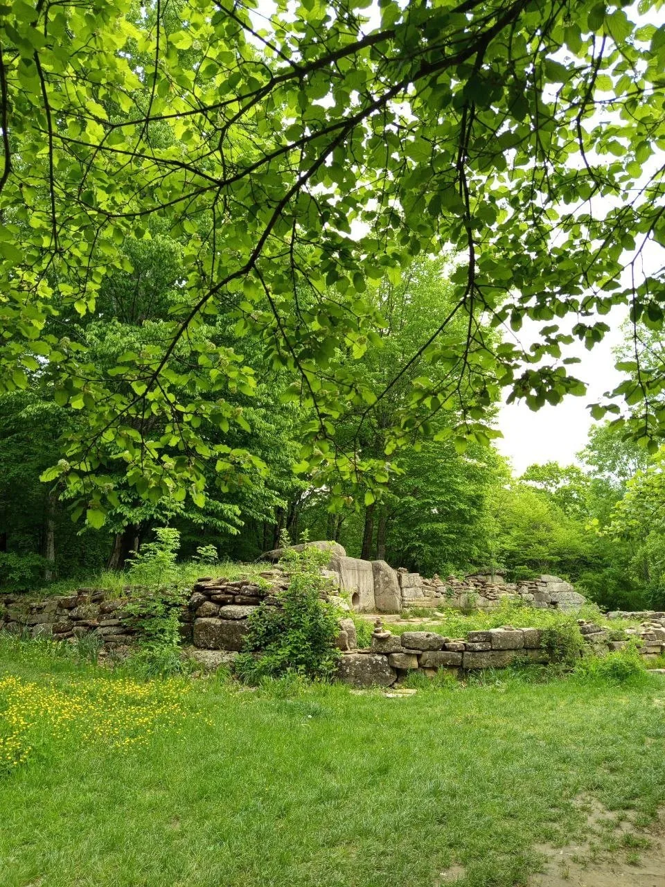 🏞 Маркотх - зелёное сердце Геленджика