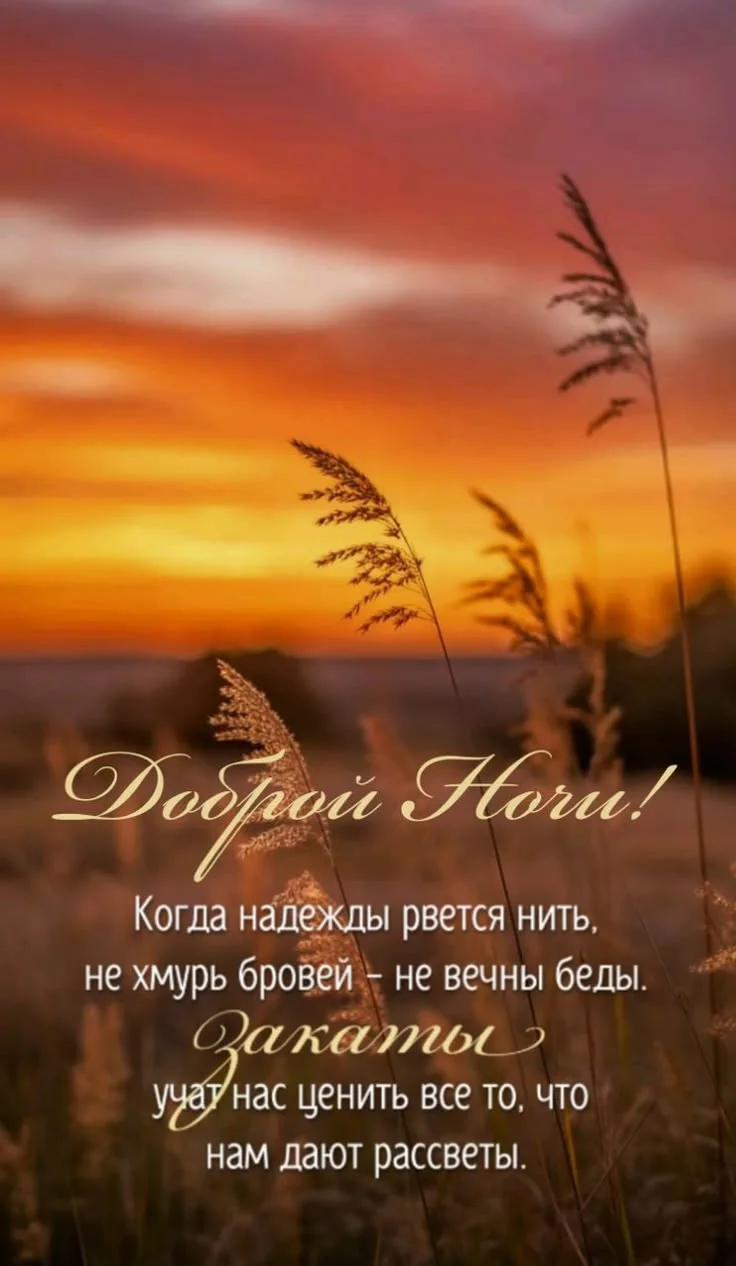 #спокойнойночи