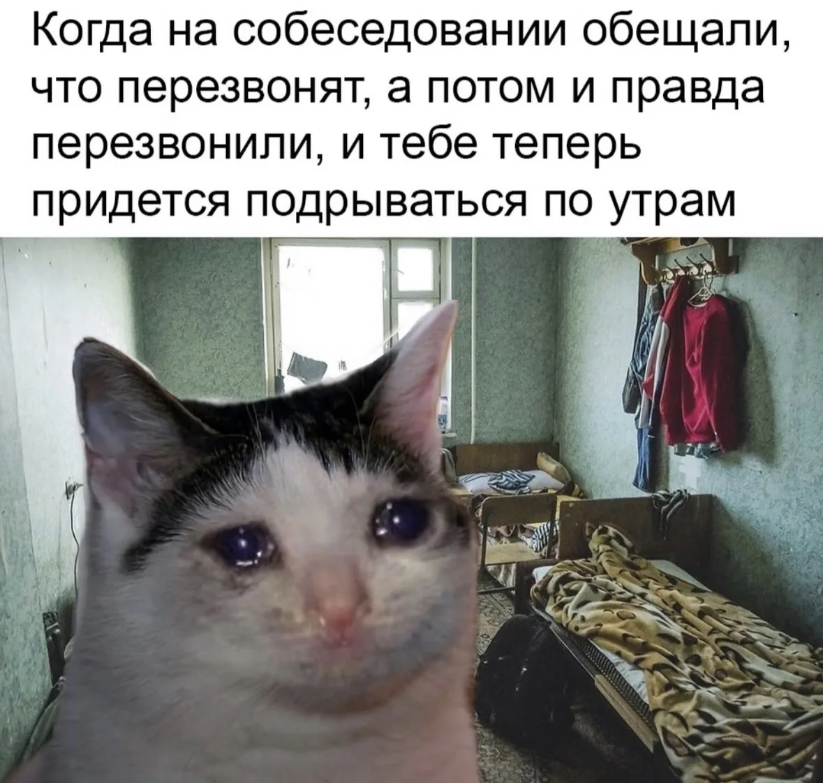 За чтооо?
