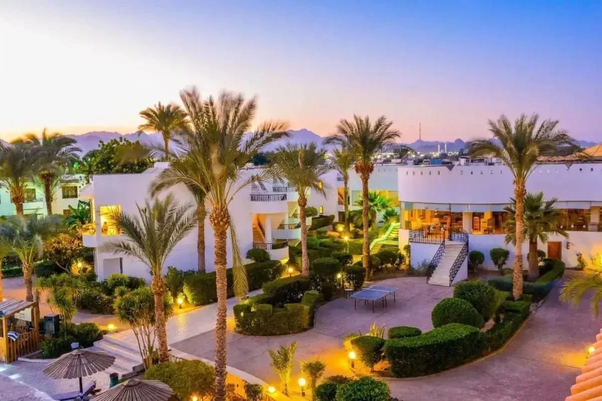 🇪🇬 Египет из Тюмени на 10🛌 👫 = 143.000 🧑‍🧑‍🧒 = 188.000 🧑‍🧑‍🧒‍🧒 = 252.000 🏩 Dive Inn Resort 4🌟(Шарм-Э