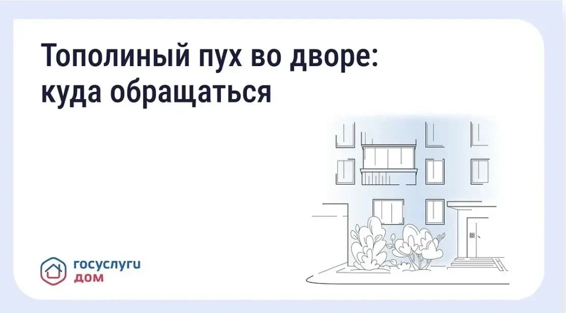 🌳 Что делать, если двор заполонил тополиный пух С наступлением лета во многих регионах...