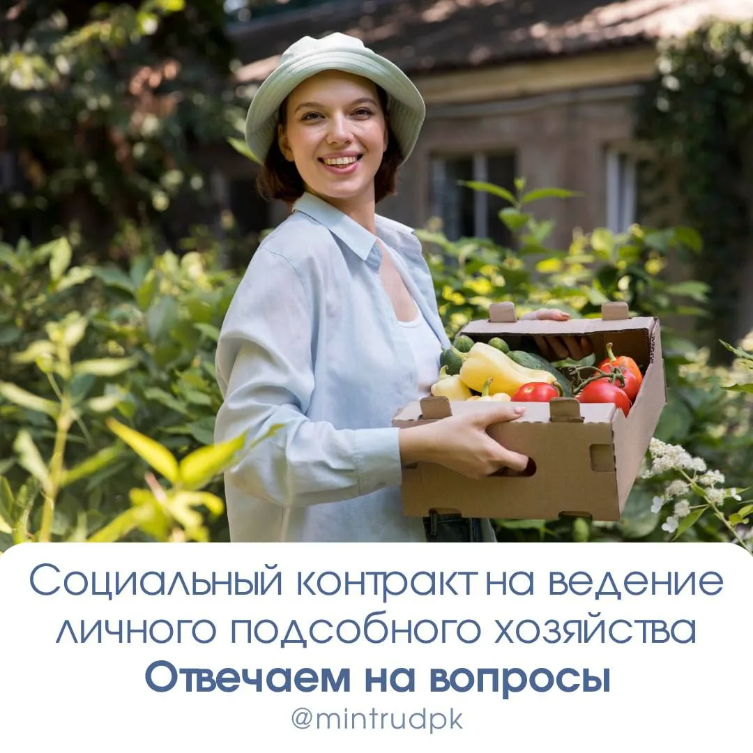 Социальный контракт на ведение личного подсобного хозяйства   Отвечаем на вопросы об условиях заключ