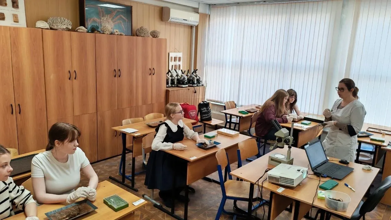 Первый шаг в большую науку 🔎