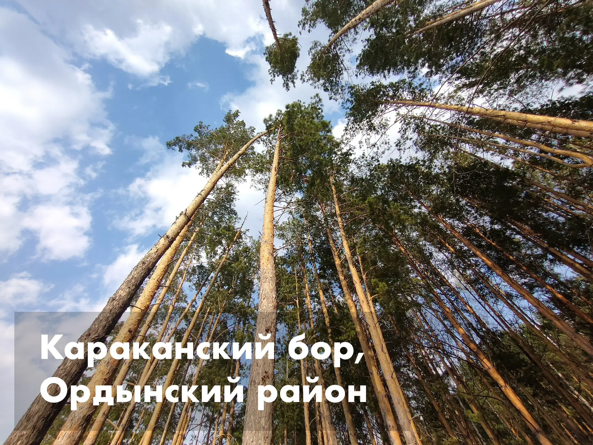 Впереди – теплая и сухая погода – хорошее время для путешествий по нашему региону! Тем более, что в 