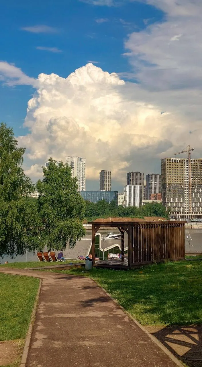🌳 В парке «Северное Тушино» на набережной появились свежие беседки

Деревянные конструкции уже разм