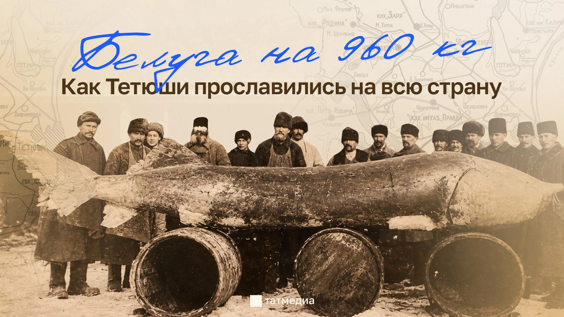 🐟😱6 метров и 960 кг: как в Тетюшах поймали легендарную белугу