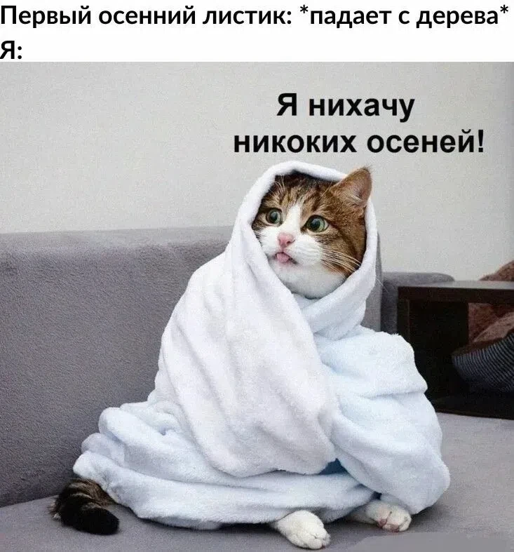 Первое сентября 🍁🍂