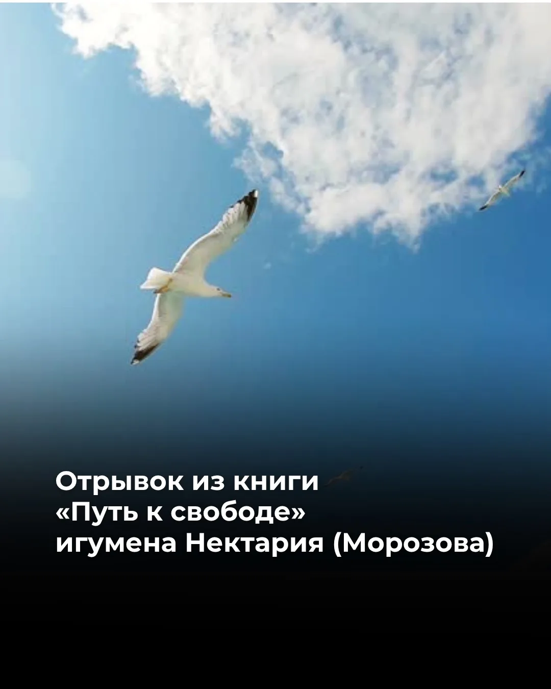 Никто не хочет осознавать себя частью толпы, быть кем-то, кто принимает решения не своб...