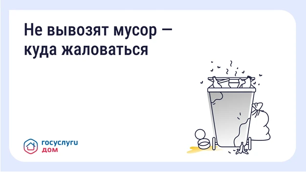 Что делать, если вовремя не вывозят мусор? Восстановите порядок с помощью телефона и «Г...