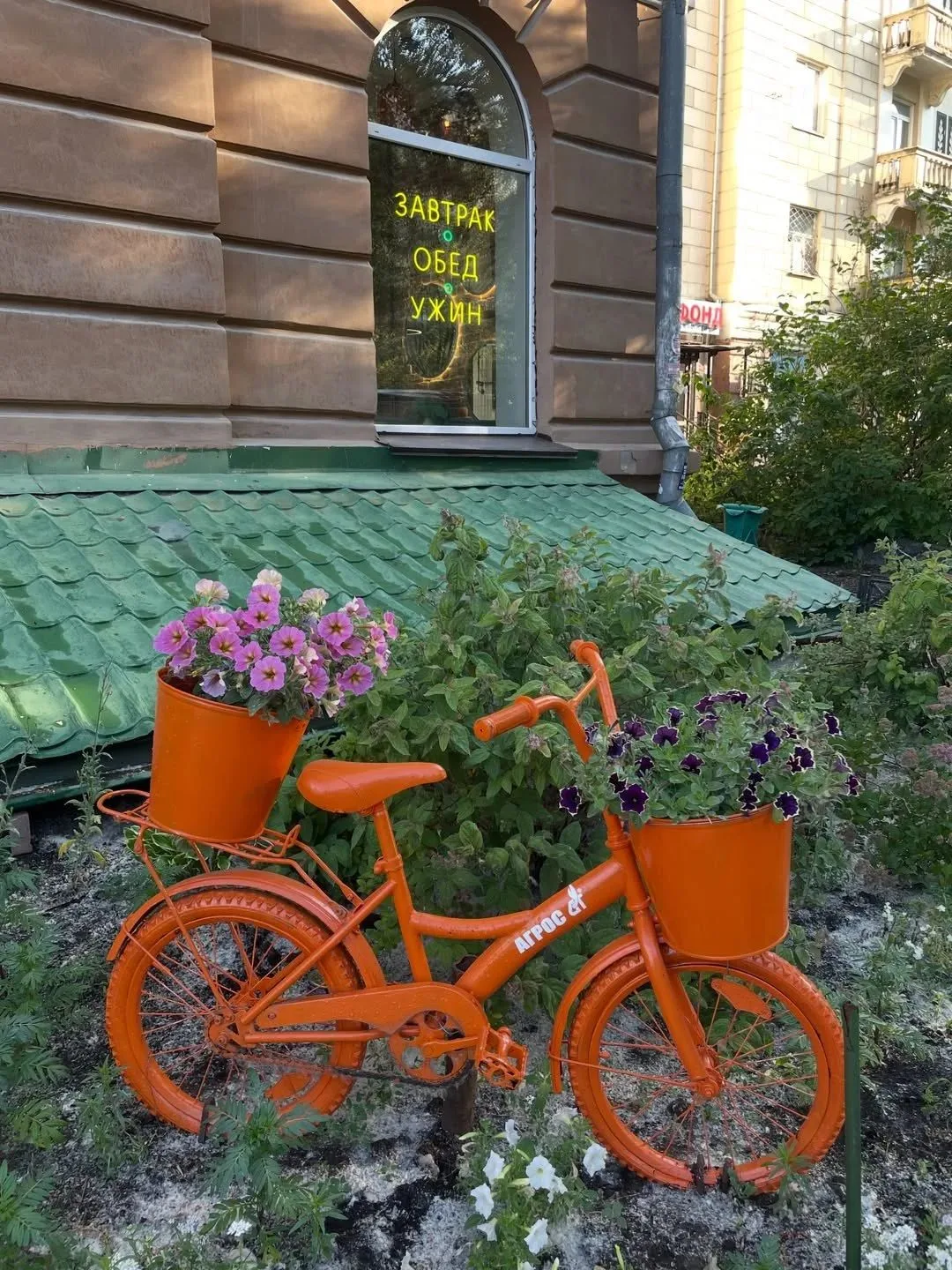 💬 "Летние локации Новосибирска"

📷 автор
Наталия

Присылайте 📸 
любимых мест
— где вы живёте
— от