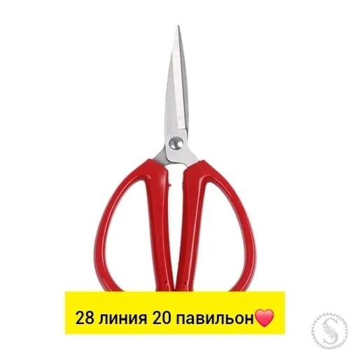 https://vk.com/photo-184814919_493598000