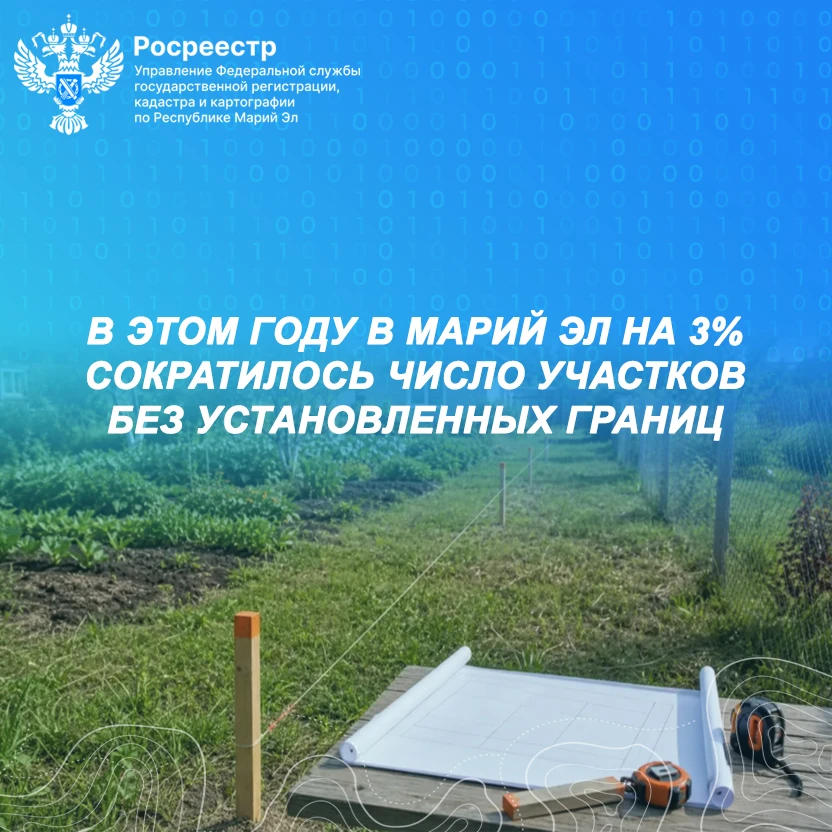 😎 Добрый день, друзья!