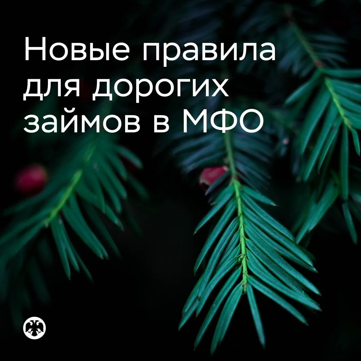МФО ограничат выдачу дорогих займов с 1 октября