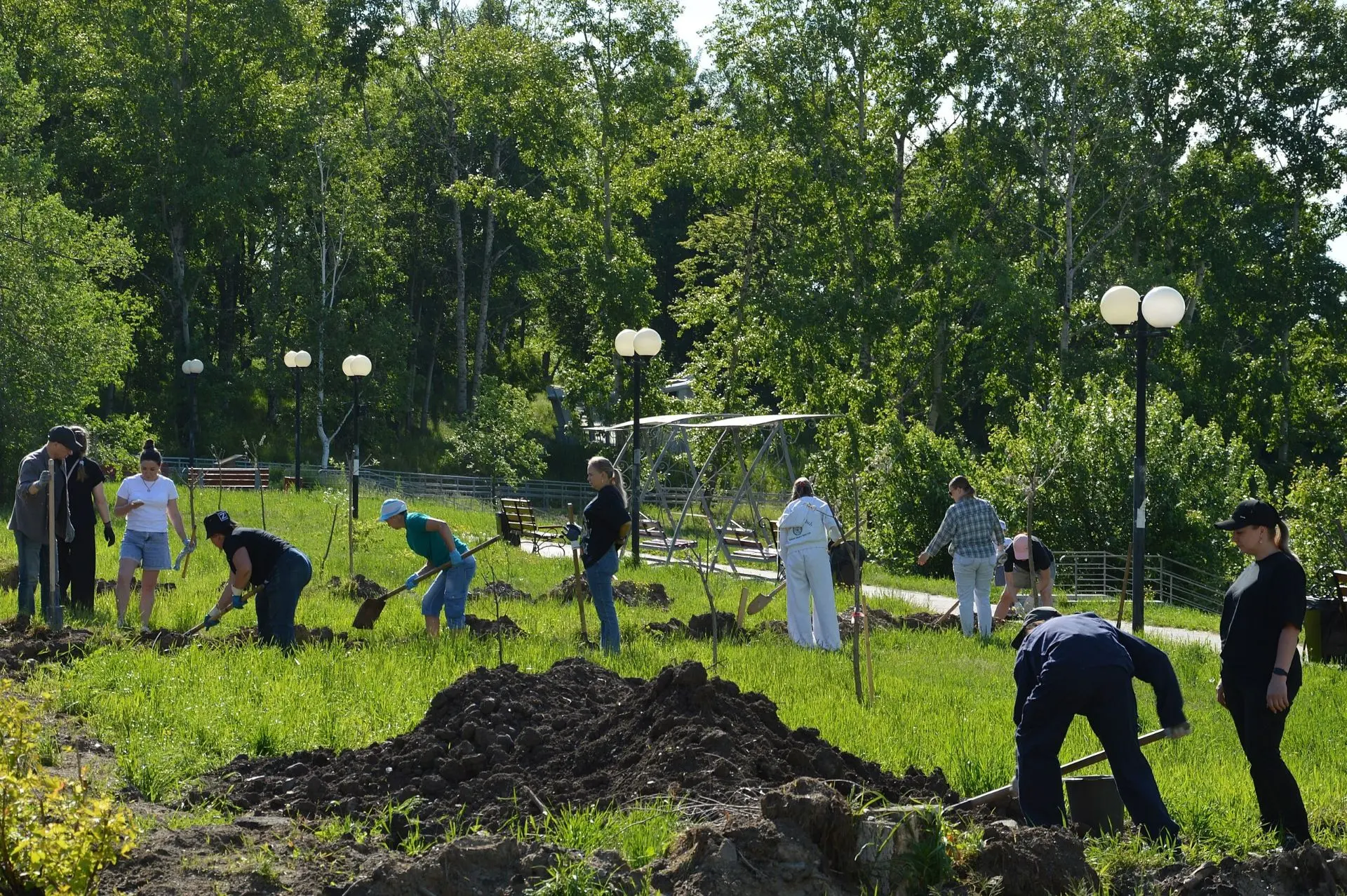 🌳  В Амурске завершилась акция «Посади иву» — важный шаг в преображении одной из самых...