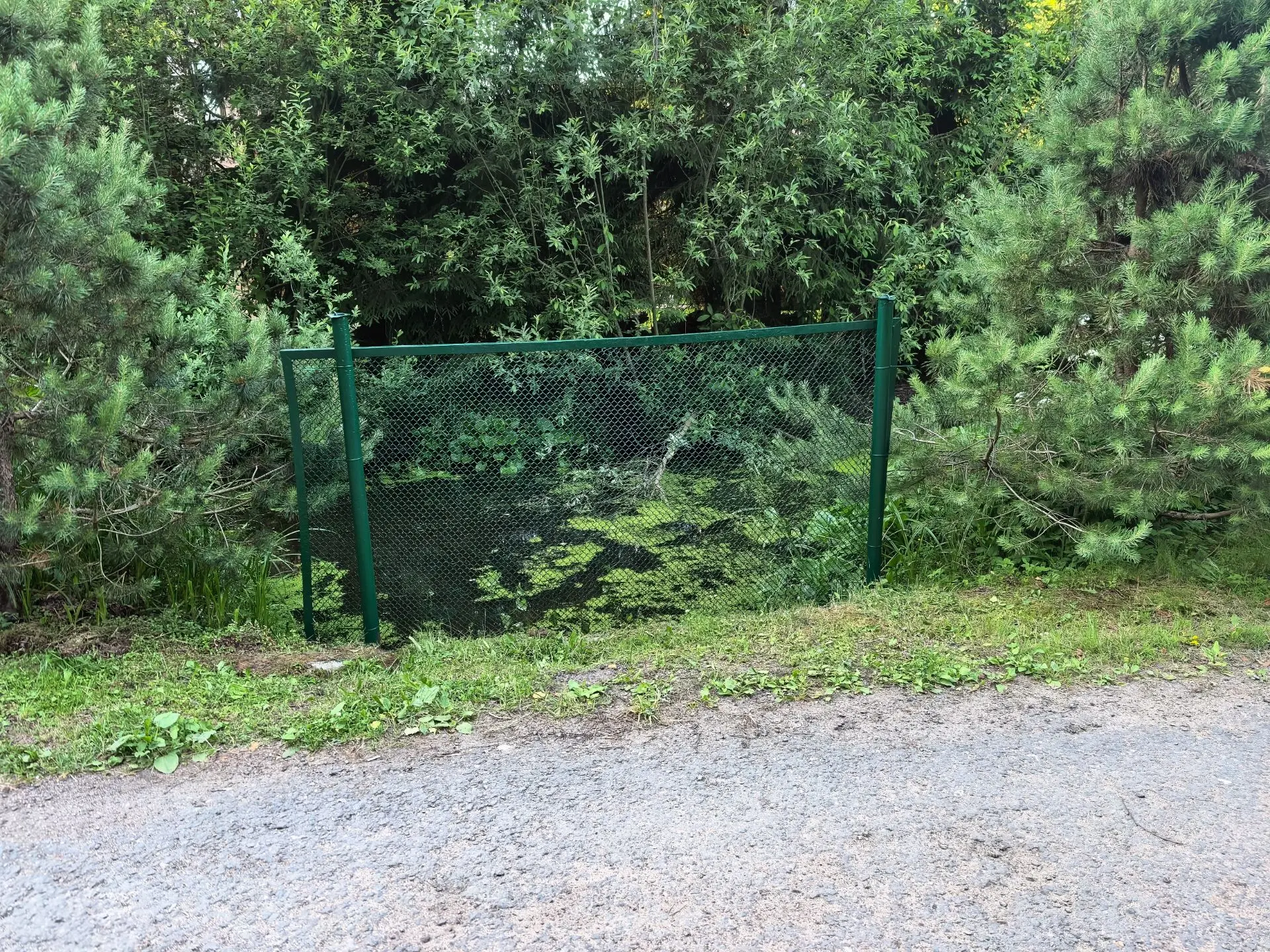 Сделали забор