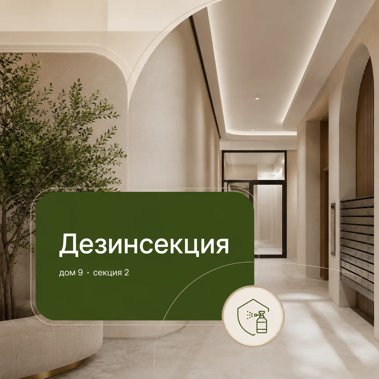 Информируем вас о проведении дезинсекции.
