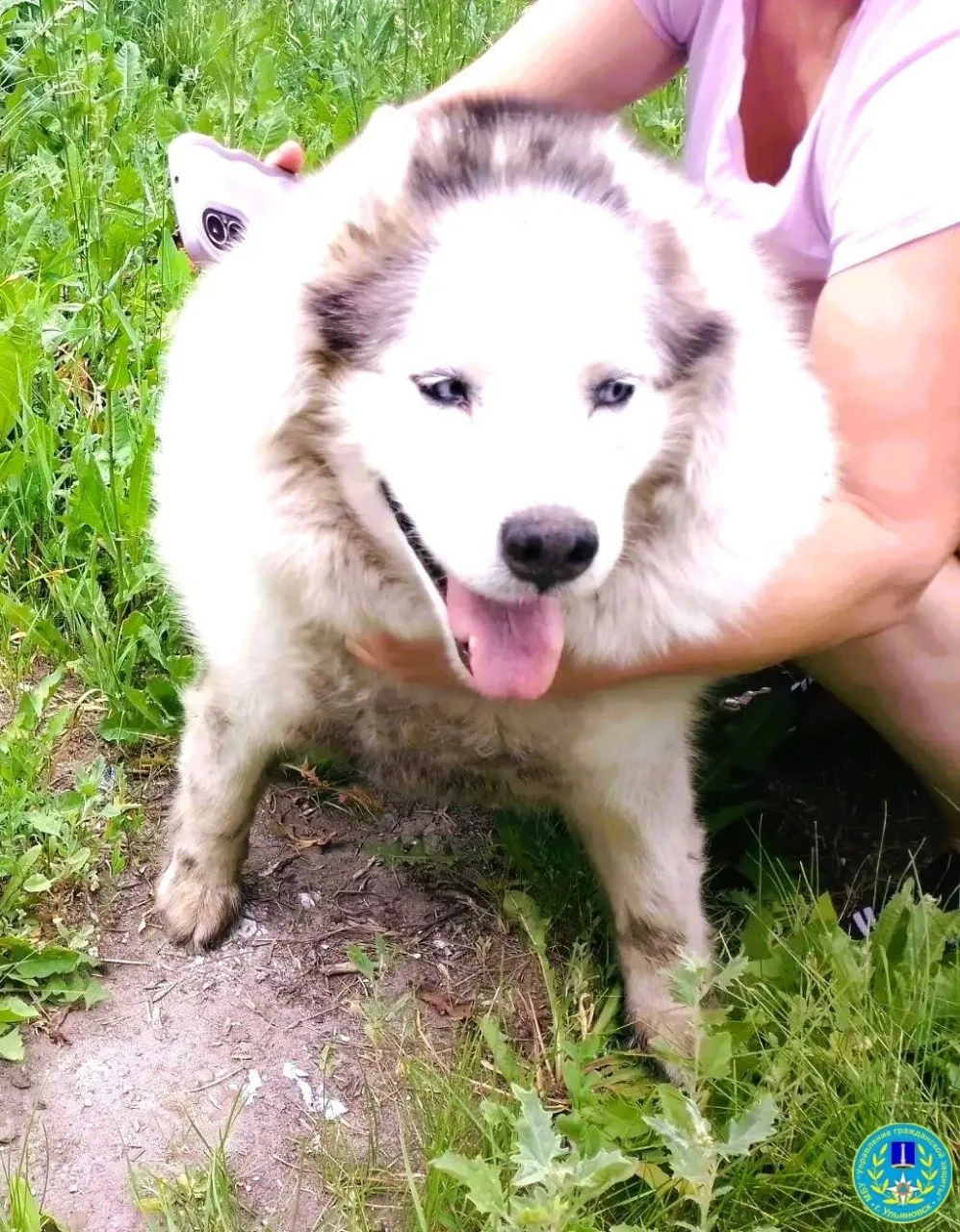 🥺 Время добрых новостей