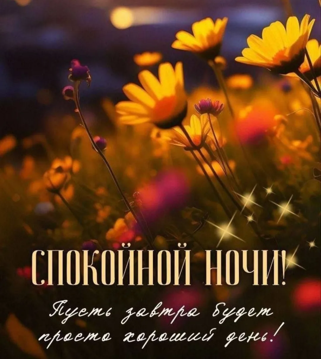 Доброй ночи, дорогие друзья