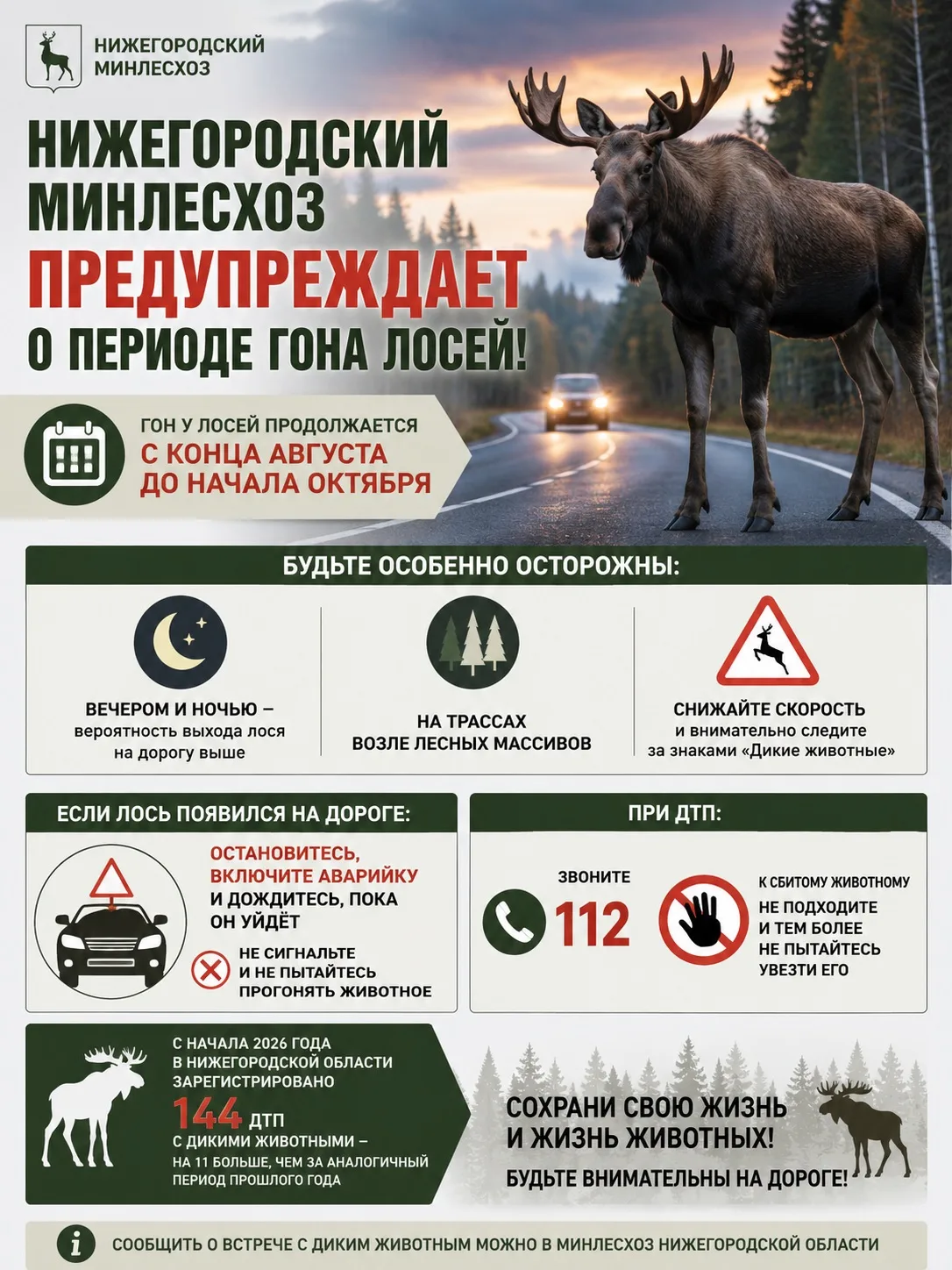 Нижегородский Минлесхоз предупреждает о периоде гона лосей!
