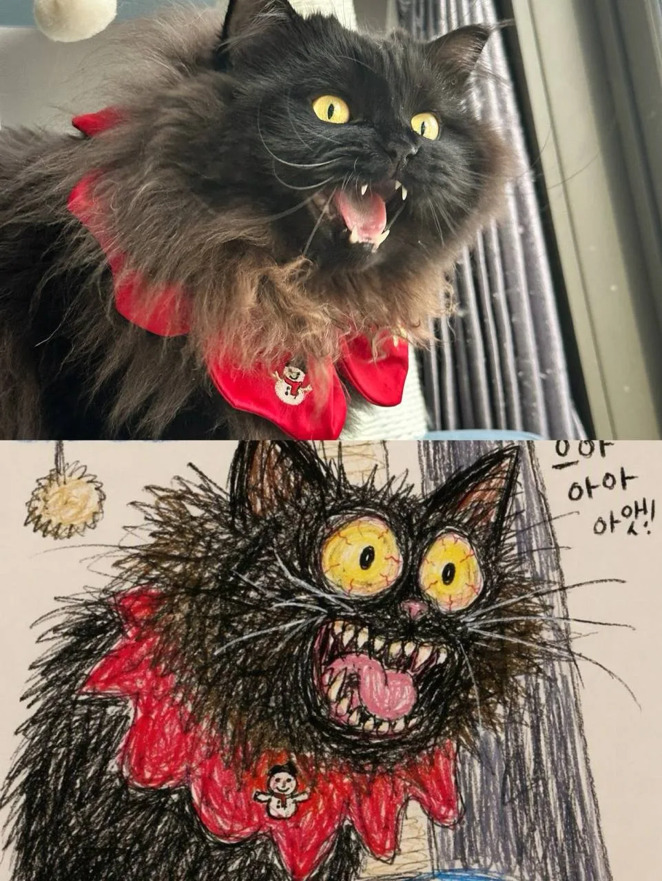 😄 Эти кадры легко вызовут улыбку у КАЖДОГО — аккаунт momochubbycat ведёт блог о чёрном...