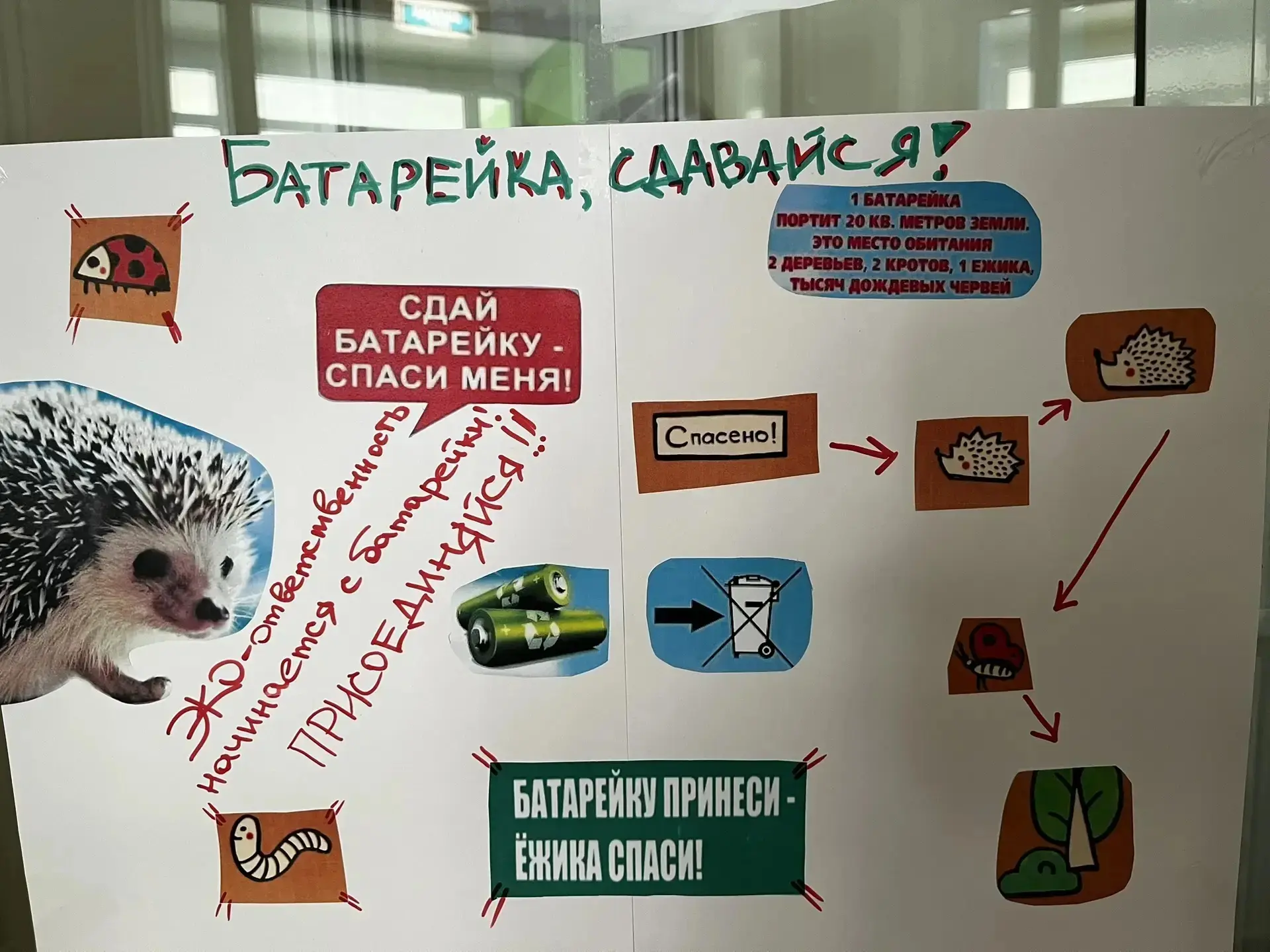 Волонтеры движения "Тëплые ладошки" провели акцию ко Дню батарейки по сбору использован...