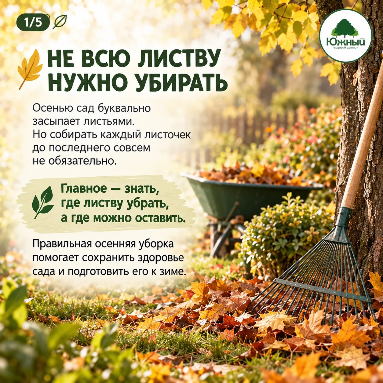 Опавшая листва: «убрать нельзя оставить!» Куда ставим запятую?
