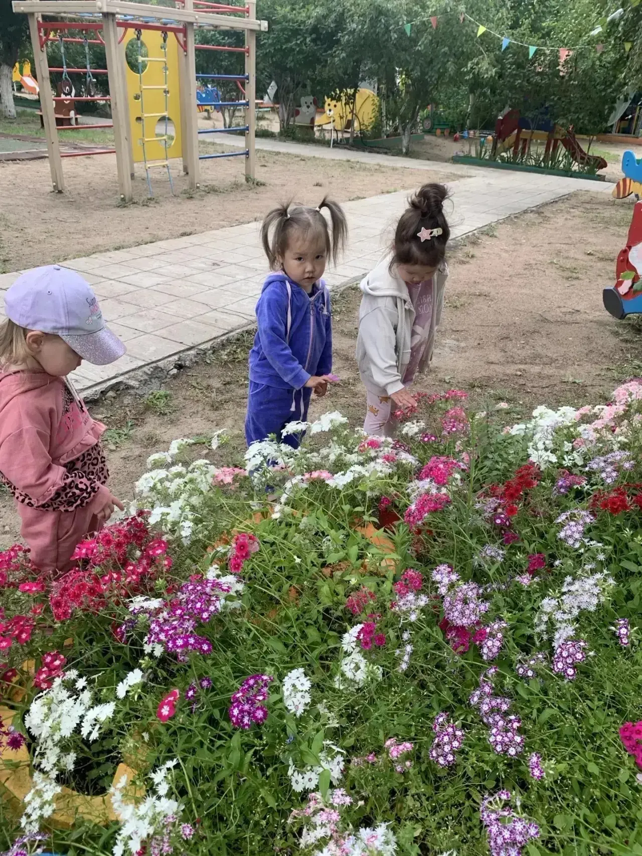 Маленькие исследователи: