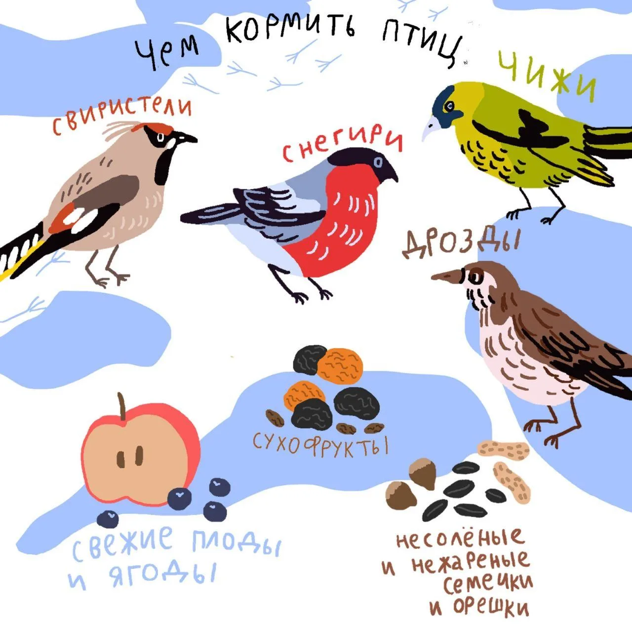Чем кормить птиц?