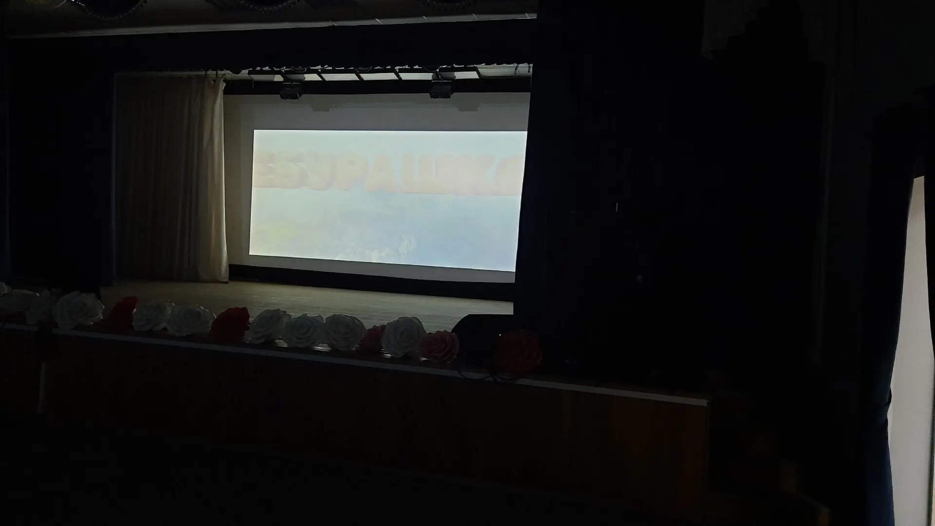 В Центре культурного развития состоялась «Ночь кино». Был показ мультфильма «Чебурашка ...