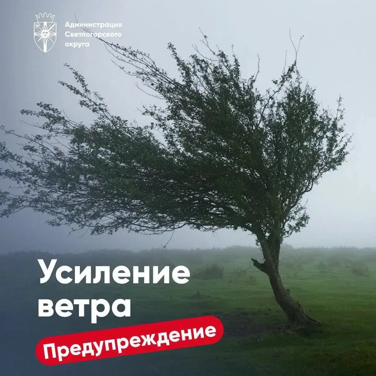 🌪 Сегодня, 4 сентября, с 20-23:00 ожидается усиление западного ветра 12-17 метров в се...