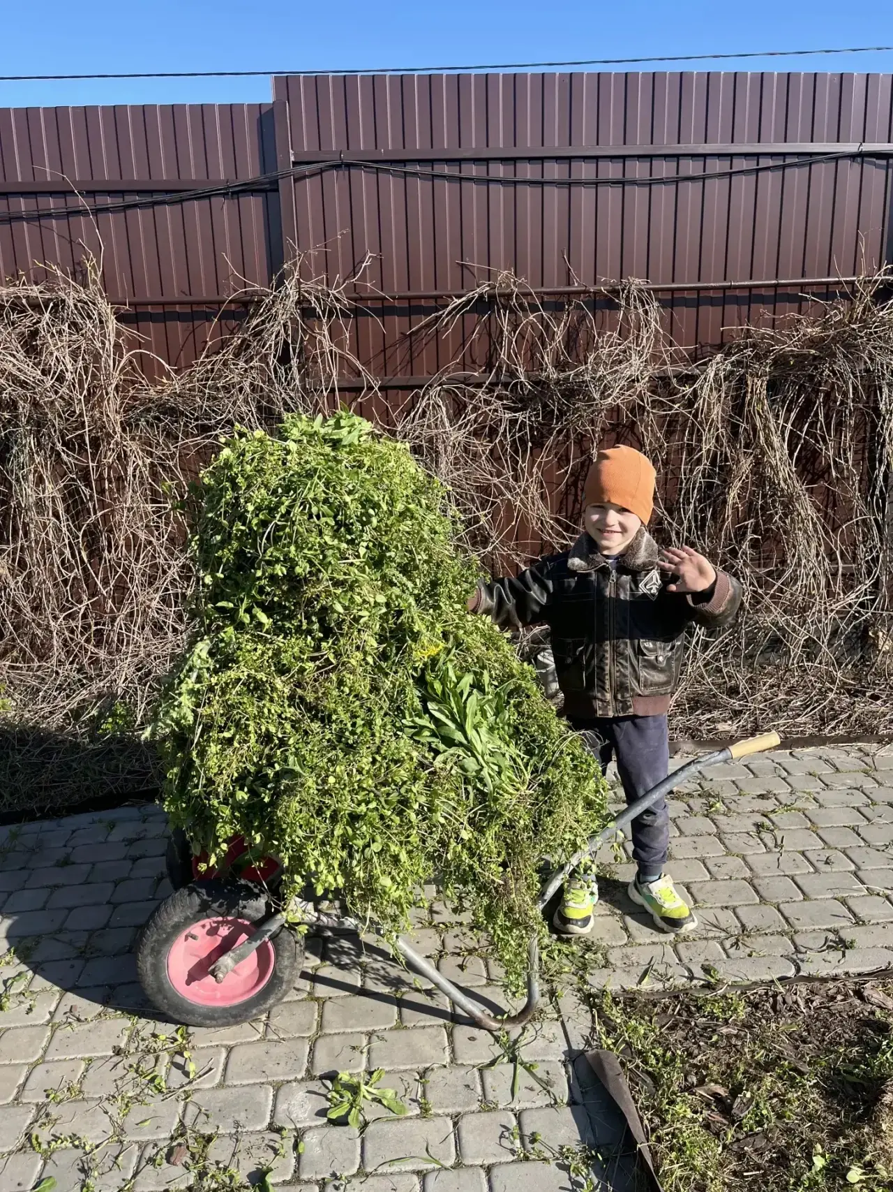 На днях занимались огородными и садовыми работами. ✨  Рома с Никитой рвали сорняки на клумбах (там в
