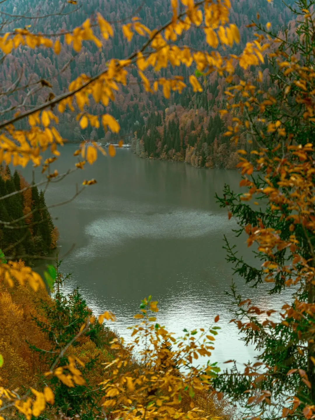 🍂 Совсем скоро осень доберётся до озера Рица — и природа начнёт творить настоящую маги...