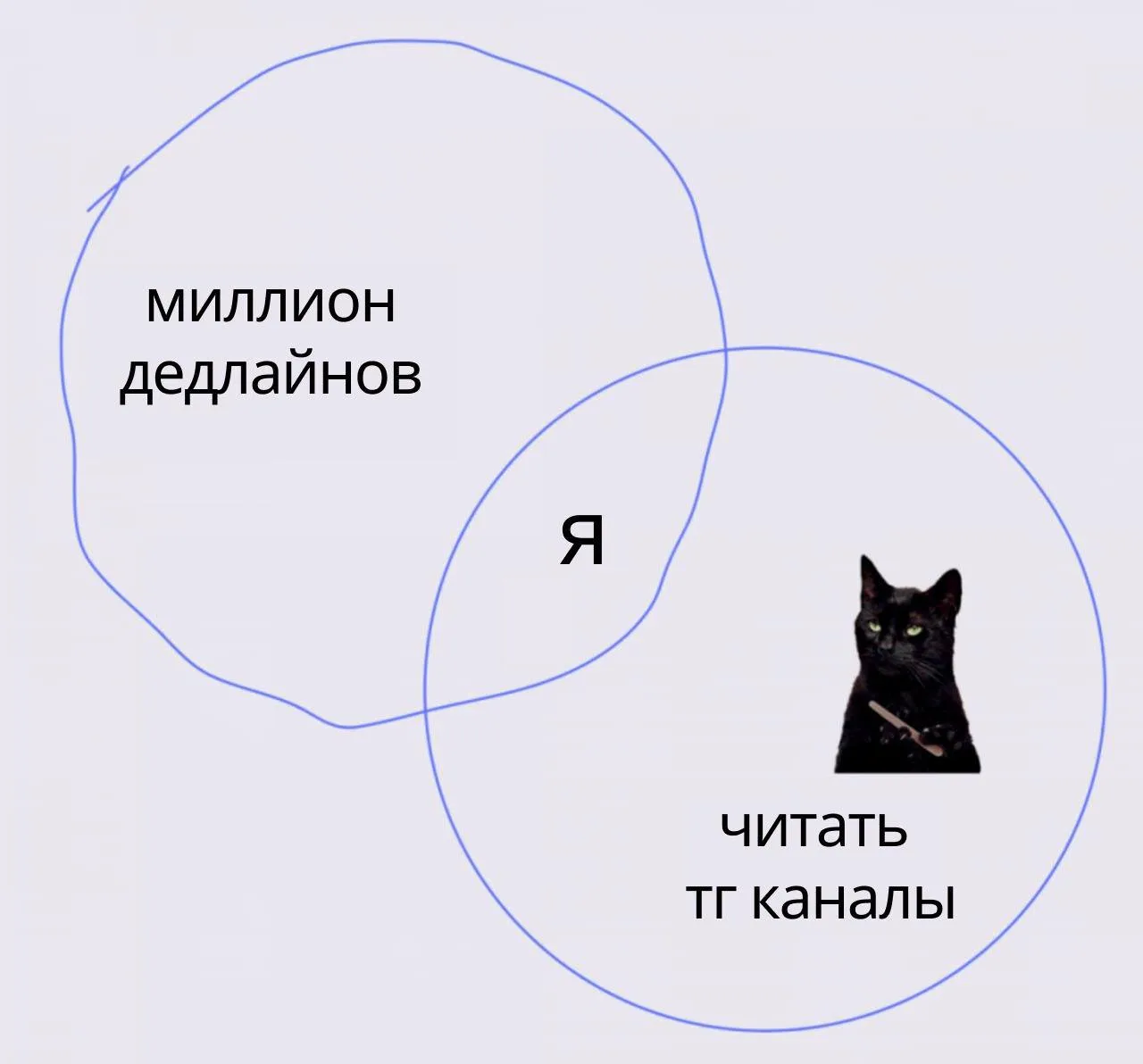 Я состою в одном бизнес-клубе уже почти полгода. И там такая тема, что большинство ребя...