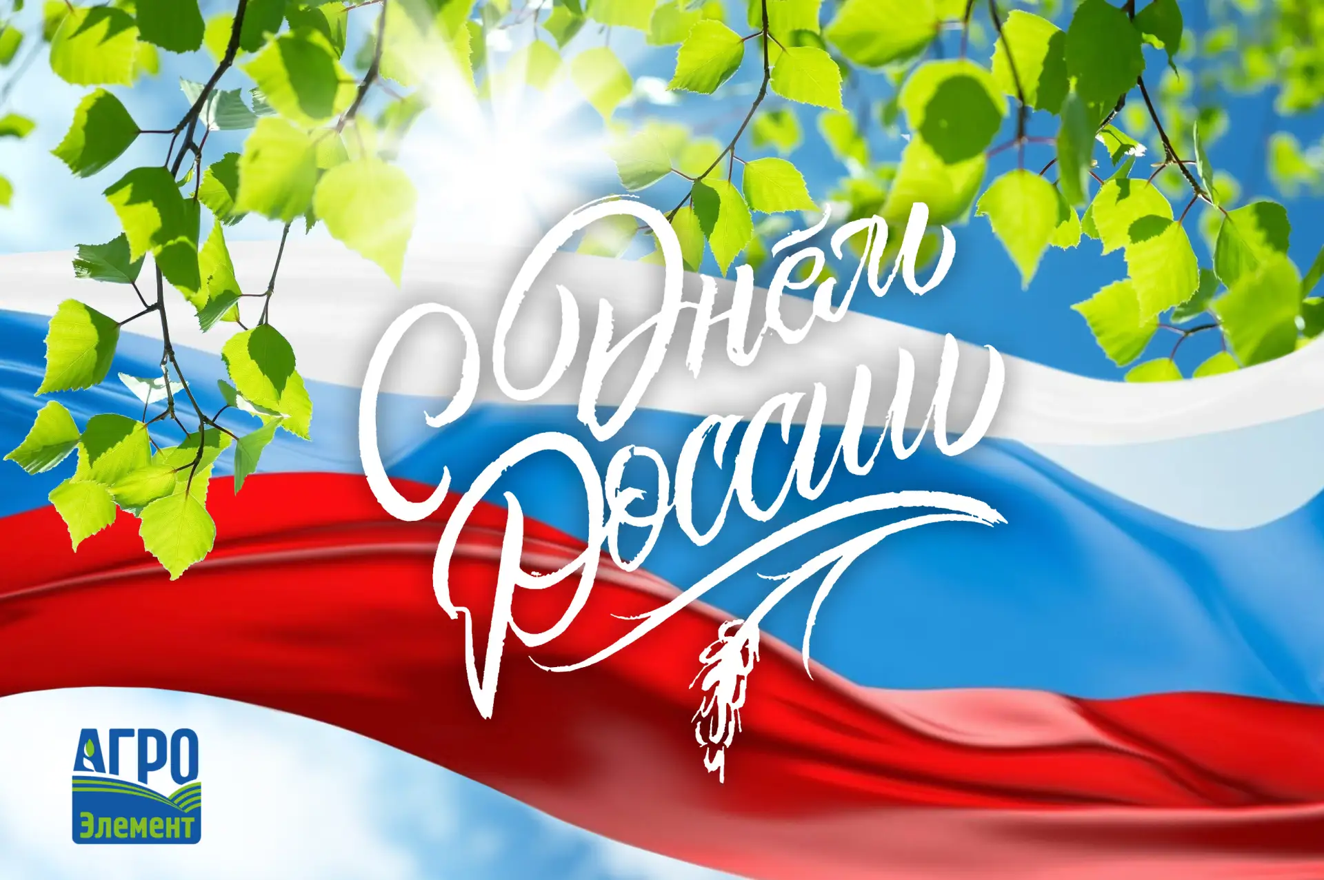 Дорогие друзья и коллеги!