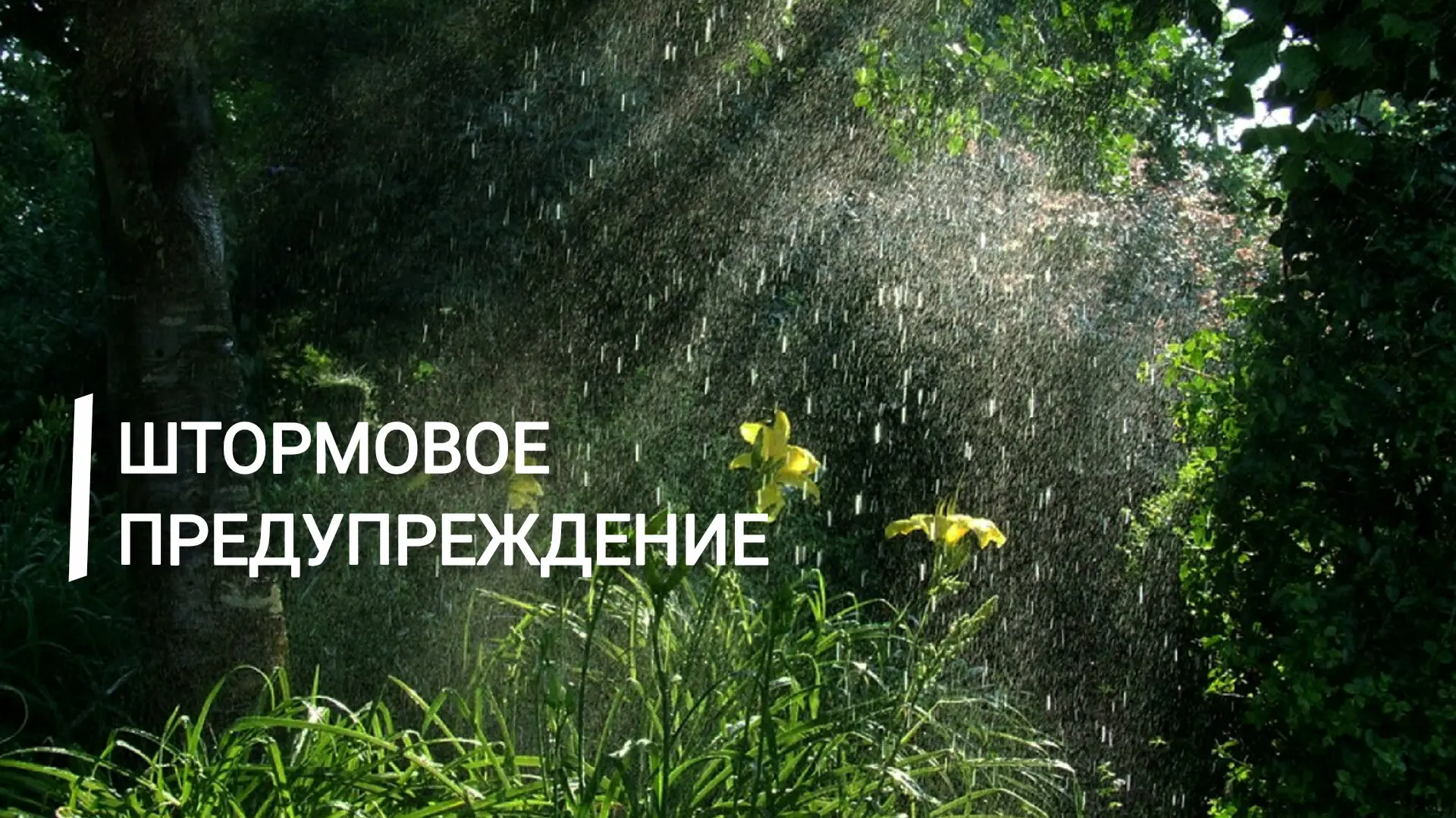 ⚡️Экстренное предупреждение

Вечером 25 июля, ночью и утром 26 июля в Крыму ожидаются дожди, в южных