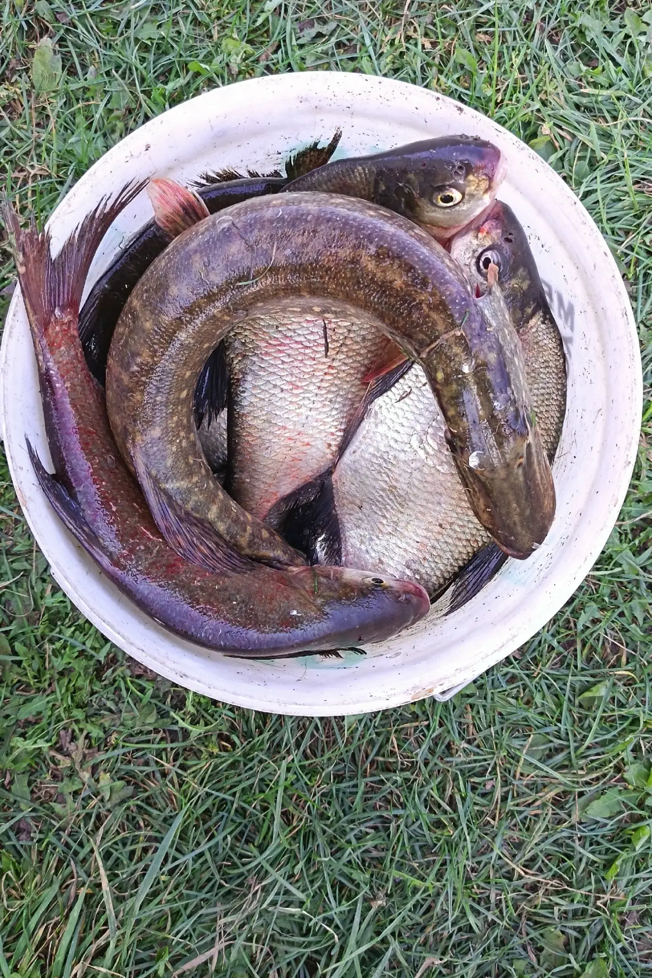 Всем привет!