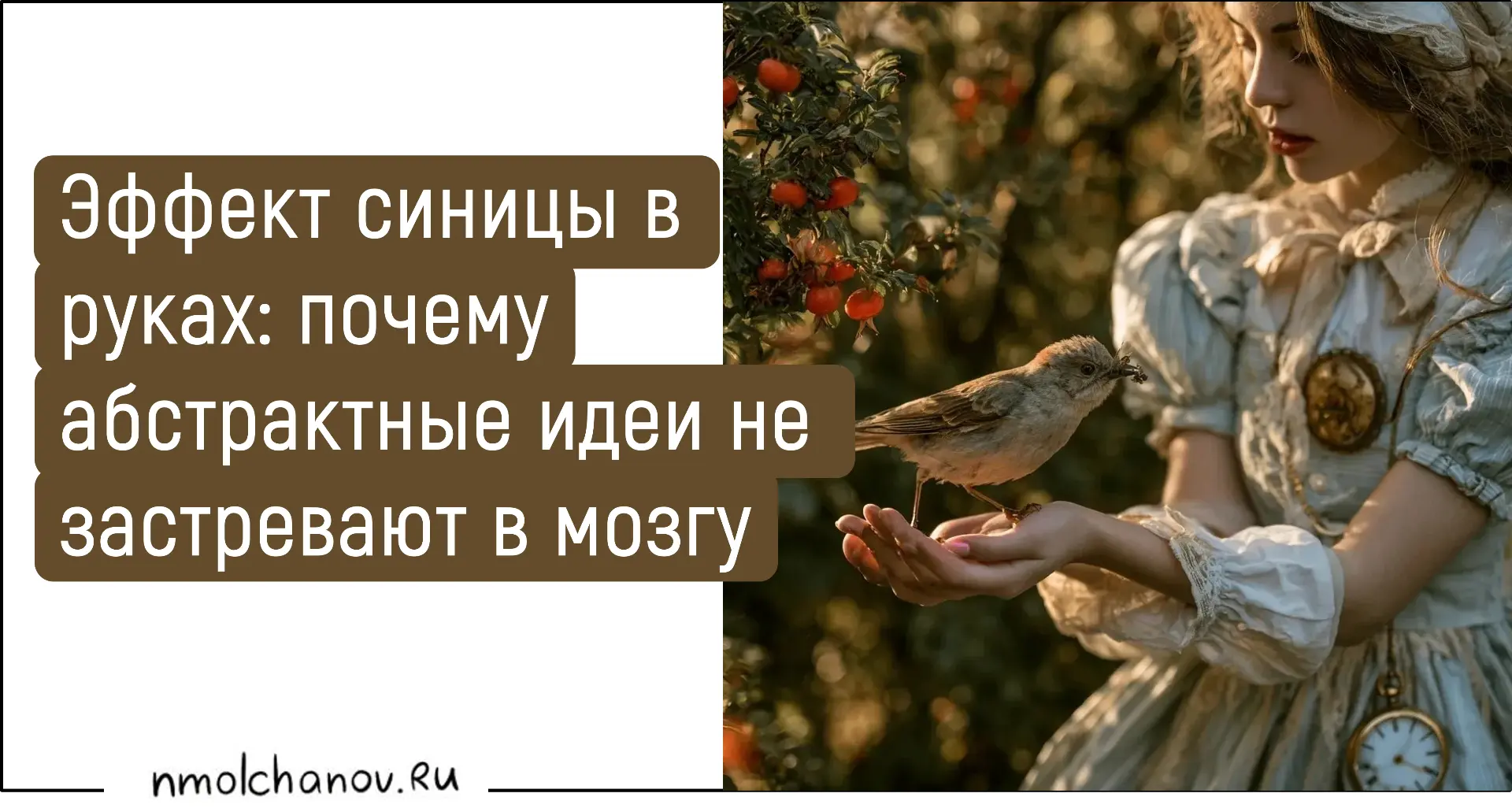 Из океанов и рек вода испаряется, собирается в облака, а затем возвращается дождиком на...