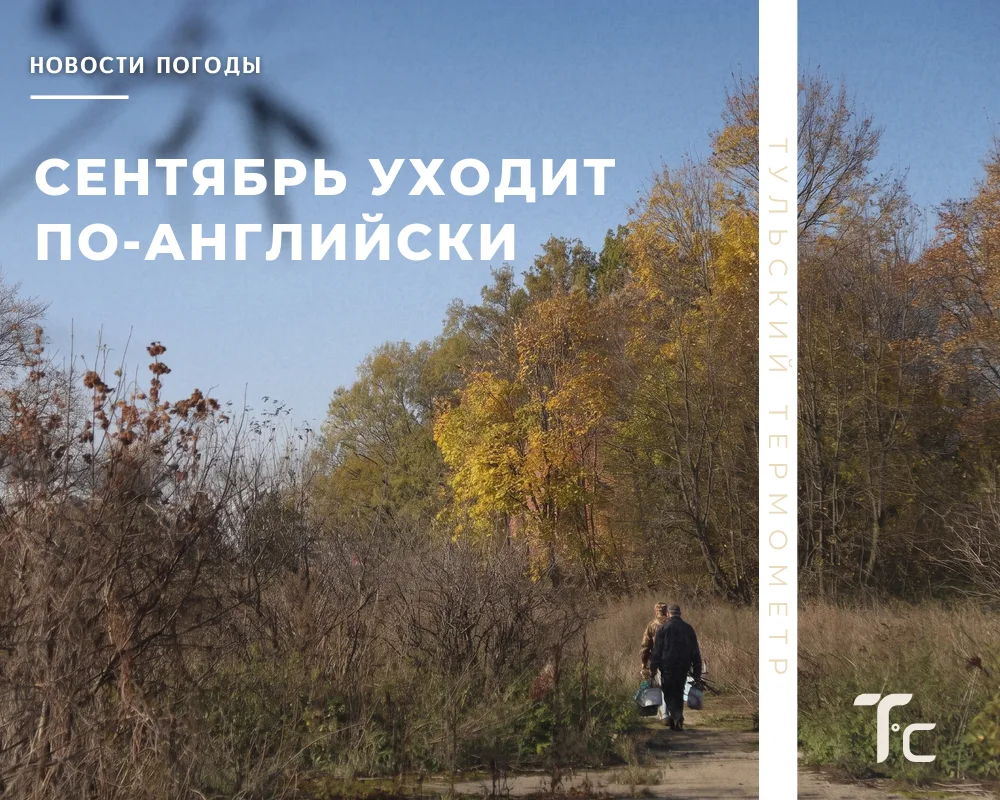 🍂 Контрастная среда​