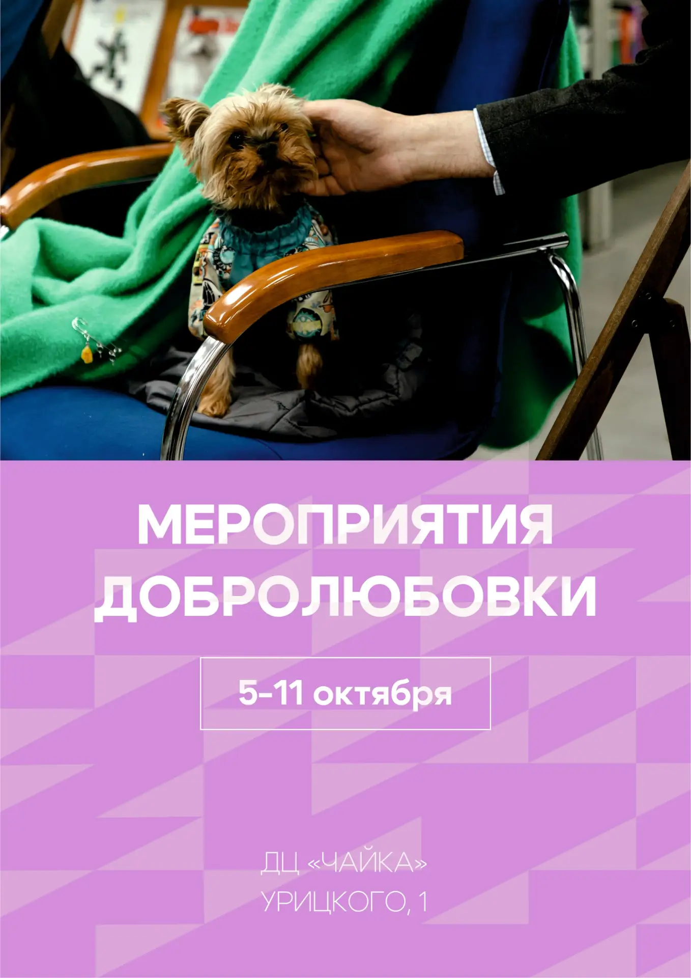 Куда зовёт следующая неделя в Добролюбовке?☀