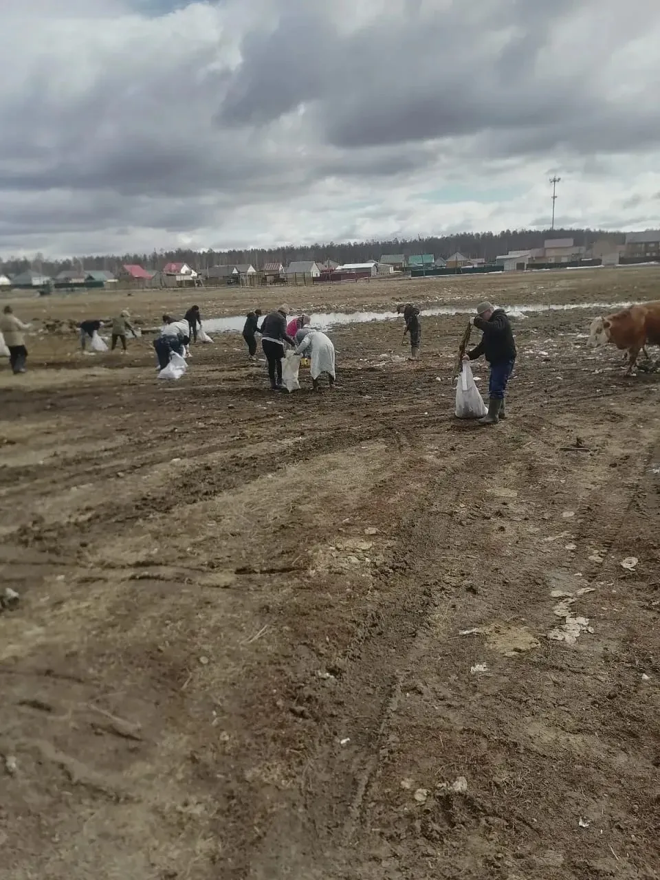 💚 #Зеленыйчетверг: в преддверии Первомая Верхневилюйск преобразился  В преддверии Первомая в селе Ве