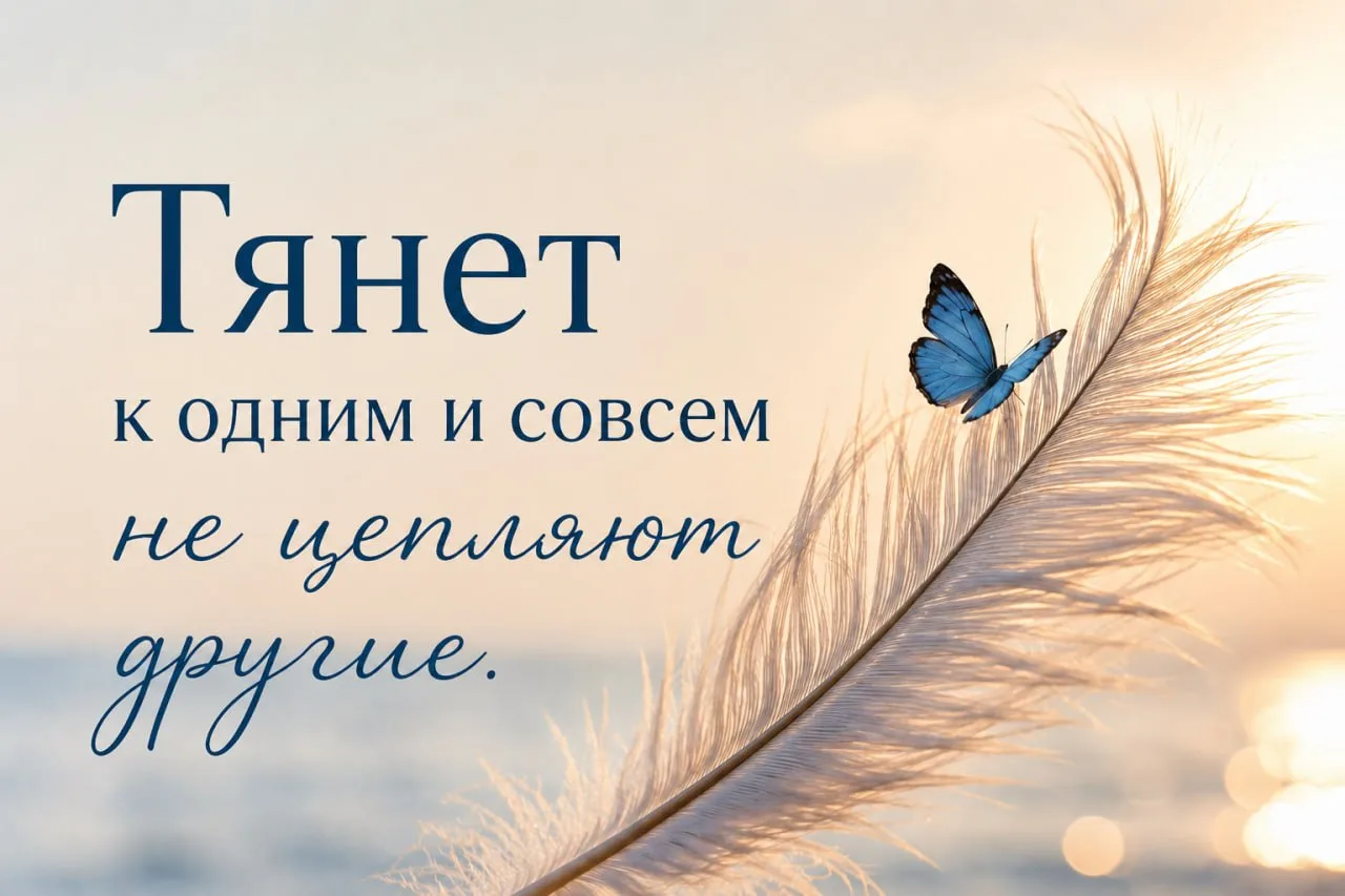 Часто нас тянет к одним людям и совсем не цепляют другие