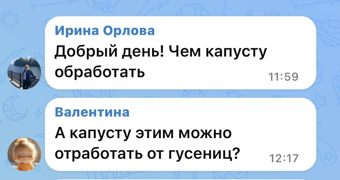 А ещё лайфхак от различных вредителей на капусте! Купите шапочки на маркетплейсе и надеваете на капу