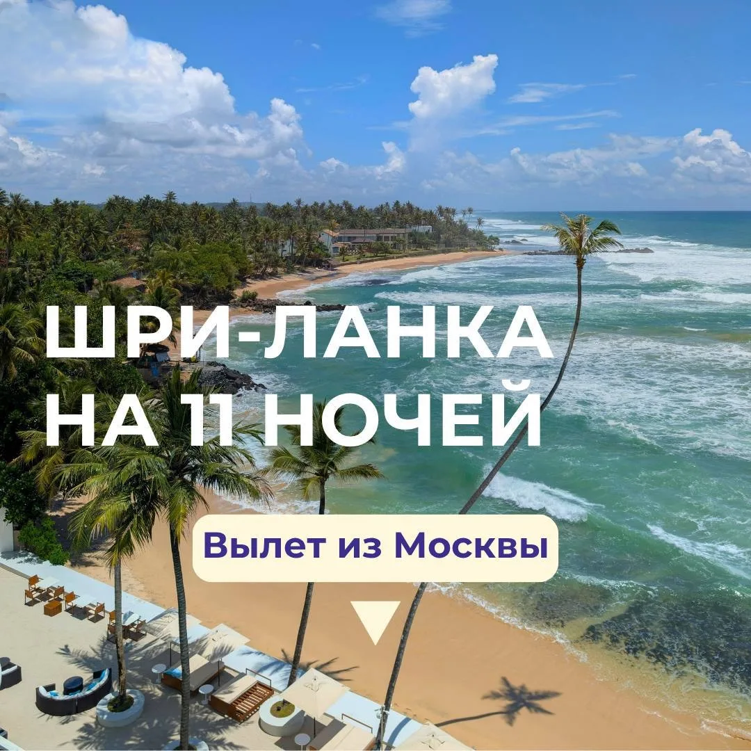 Друзья, нашла для вас тур на Шри-Ланку в пик сезона по шикарной цене💚