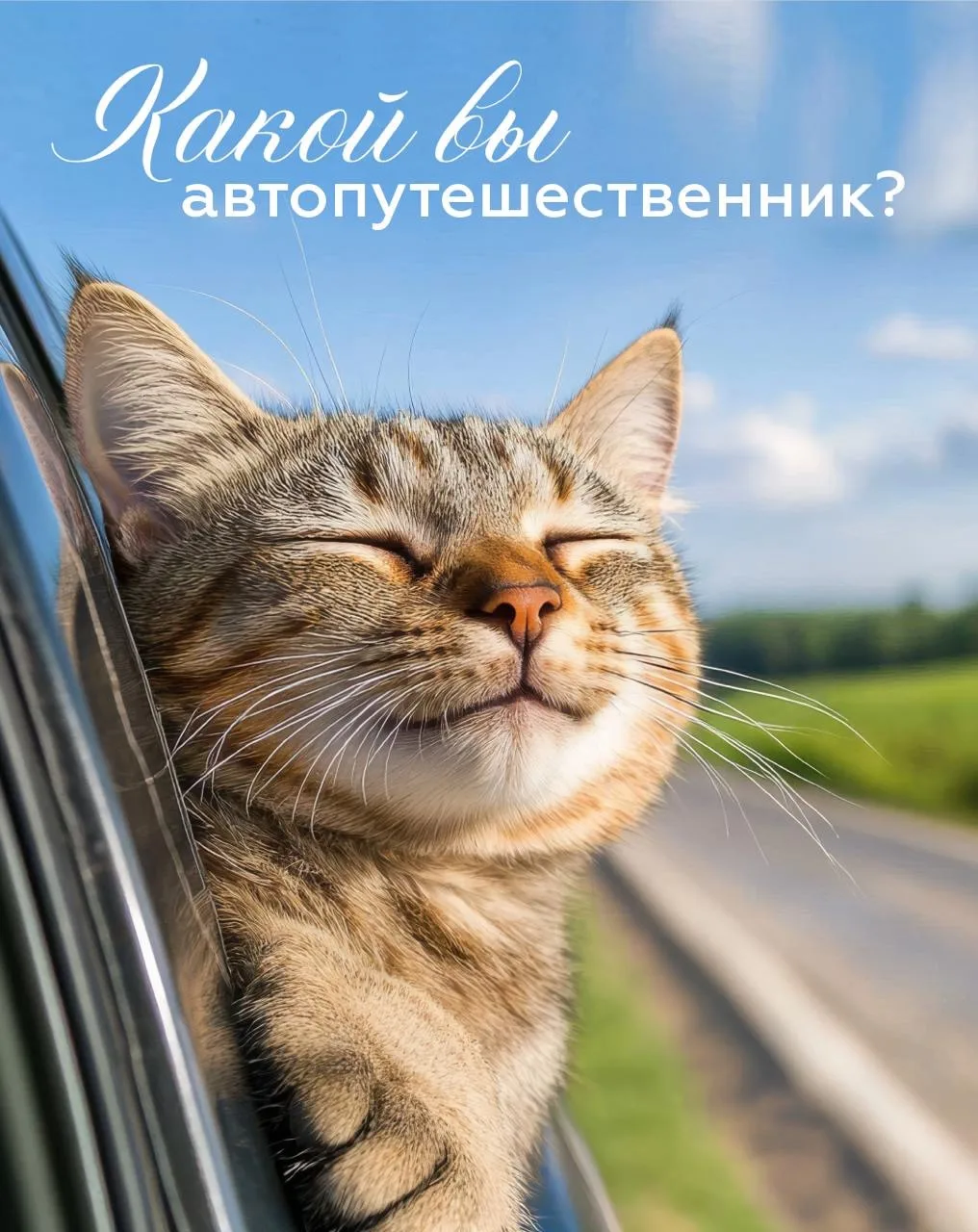В дороге все мы открываемся с новой стороны 🙂