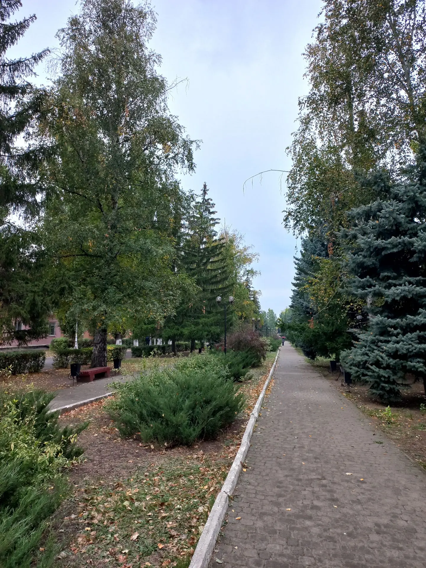 Сегодня утром ездила в Лутугино по делам.