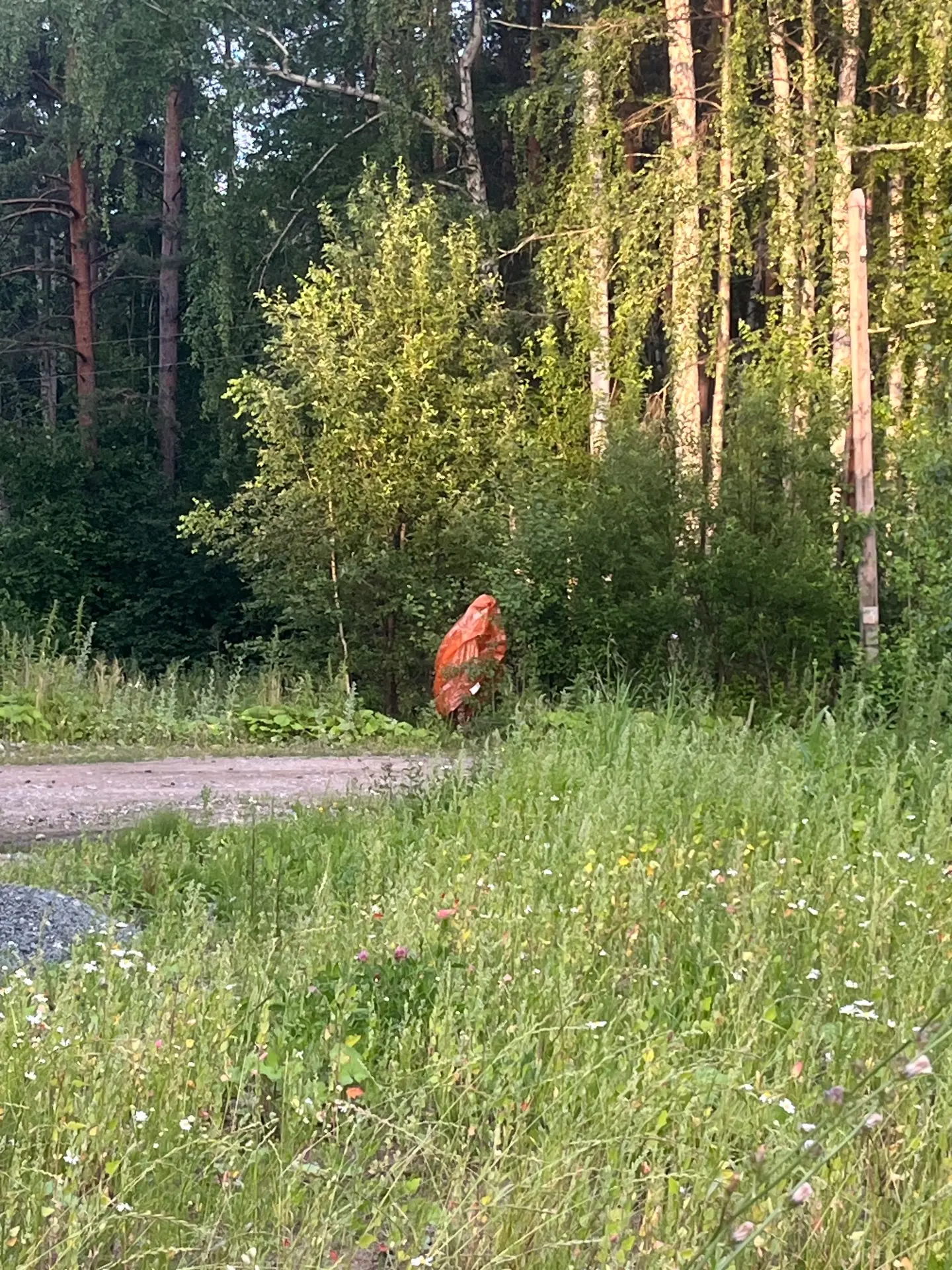 От подписчика: "Показалось😆".